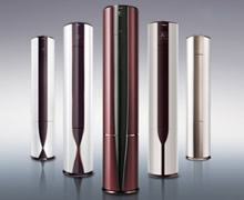 ���{����